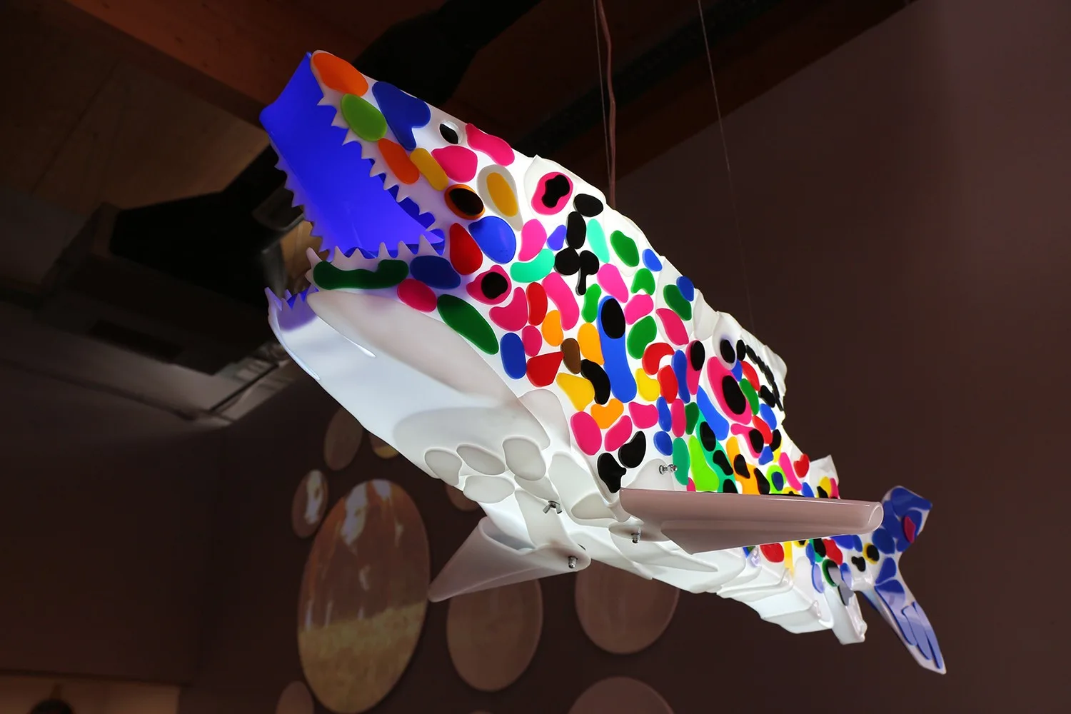 Colorized moments, Circle of Life, Marko Gavrilovic