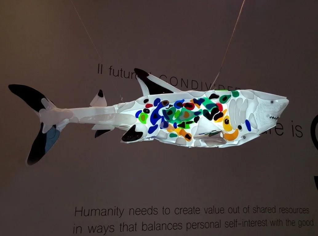 Sailer of the Future is a shark sculpture with light inside.