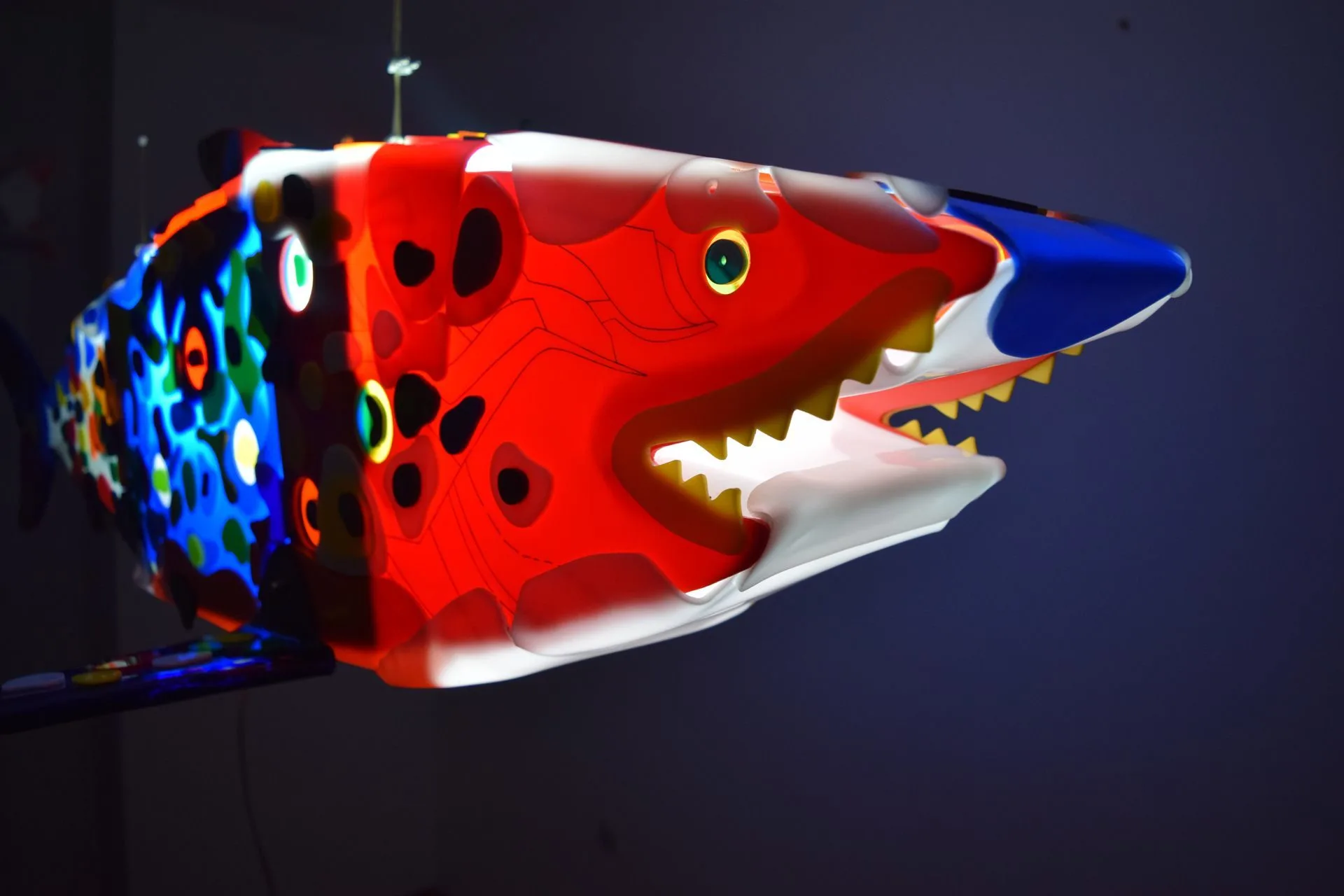 Red and blue shark sculpture made from Plexiglas
