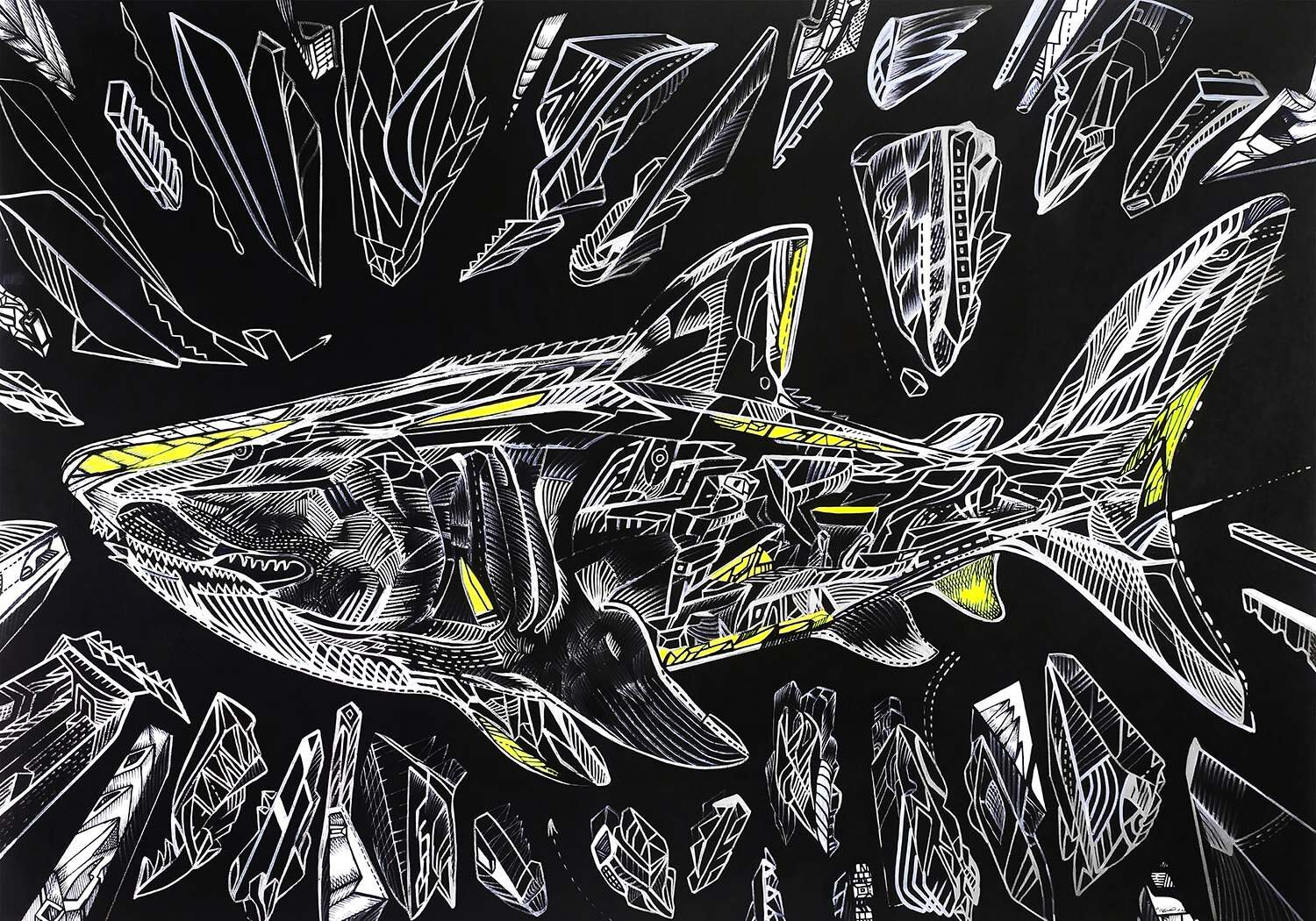 THE ANATOMY OF THE SEA is ashark painting, made on a black board with white and red drawing in acrylic. It is a work of Serbian artist Marko Gavrilovic.